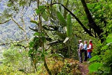 ecuador bird wtaching